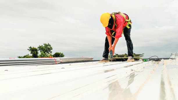 Best Skylight Installation and Repair  in Blennerhassett, WV